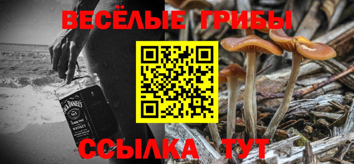 Еманжелинск  Псилоцибиновые грибы прущие грибы  Вход с VPN 